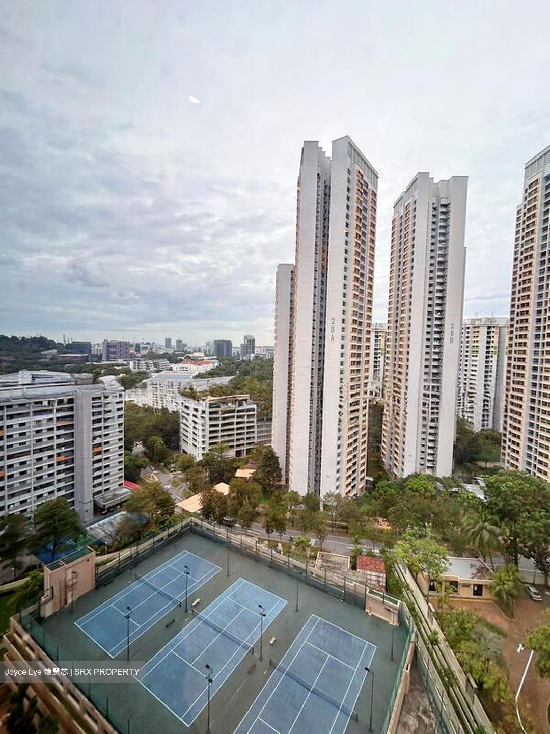 Heritage View (D5), Condominium #507995101